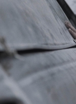 ftwd413_1512.jpg