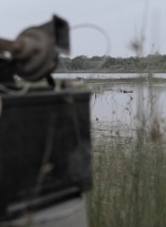 ftwd413_1931.jpg