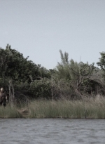 ftwd413_2072.jpg