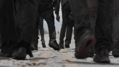 ftwd414_1075.jpg