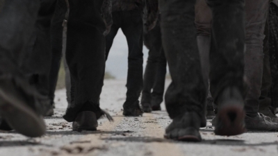 ftwd414_1076.jpg