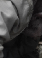ftwd414_0596.jpg