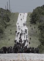 ftwd414_1178.jpg