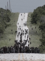 ftwd414_1180.jpg