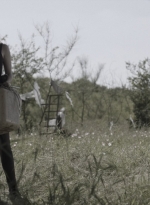 ftwd414_2344.jpg