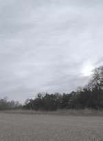 ftwd415_1233.jpg