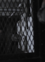 ftwd416_0038.jpg