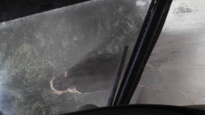 ftwd501_0289.jpg