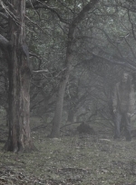 ftwd501_0065.jpg