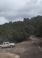 ftwd502_01192.jpg