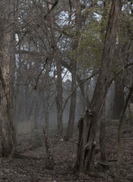 ftwd502_01317.jpg