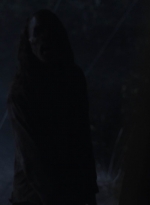 ftwd502_02202.jpg