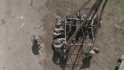 ftwd503_0196.jpg