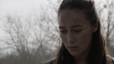 ftwd503_1998.jpg