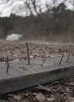 ftwd503_1094.jpg