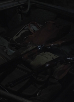 ftwd503_2401.jpg
