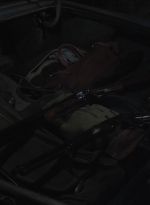ftwd503_2403.jpg