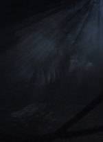 ftwd503_2528.jpg
