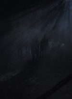 ftwd503_2530.jpg