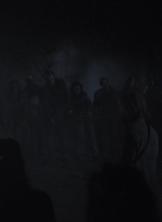 ftwd503_2539.jpg