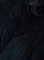 ftwd503_2691.jpg