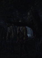 ftwd503_2742.jpg