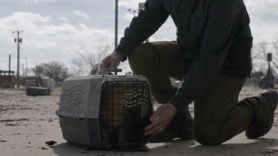 ftwd504_0028.jpg