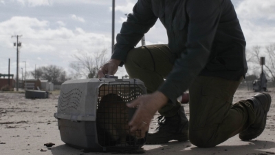 ftwd504_0030.jpg