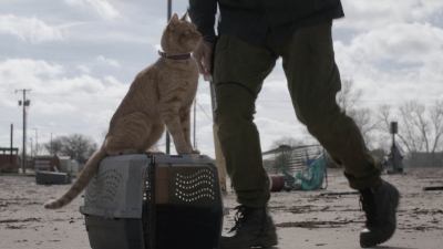 ftwd504_0039.jpg