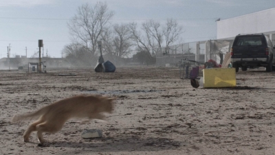 ftwd504_0053.jpg