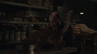 ftwd504_0250.jpg