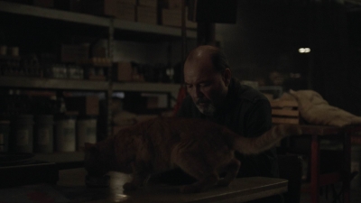 ftwd504_0251.jpg