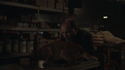 ftwd504_0252.jpg
