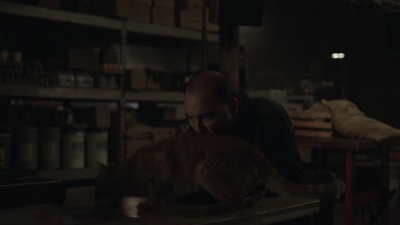 ftwd504_0253.jpg