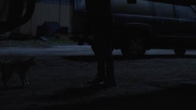 ftwd504_0364.jpg