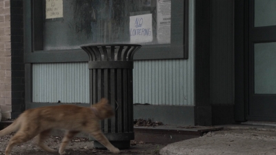 ftwd504_1109.jpg