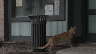 ftwd504_1110.jpg