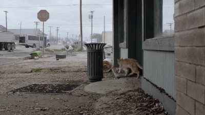 ftwd504_1288.jpg