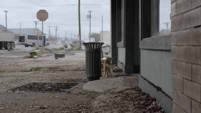 ftwd504_1289.jpg