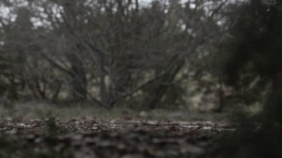ftwd504_1497.jpg