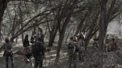 ftwd504_1947.jpg