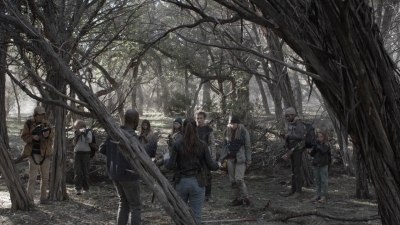 ftwd504_1961.jpg