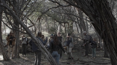 ftwd504_1962.jpg