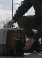 ftwd504_0028.jpg