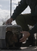 ftwd504_0029.jpg