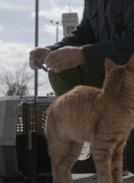 ftwd504_0031.jpg