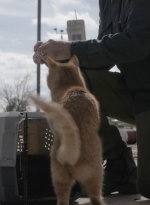 ftwd504_0032.jpg