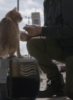 ftwd504_0033.jpg