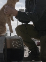 ftwd504_0034.jpg