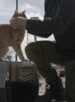 ftwd504_0035.jpg